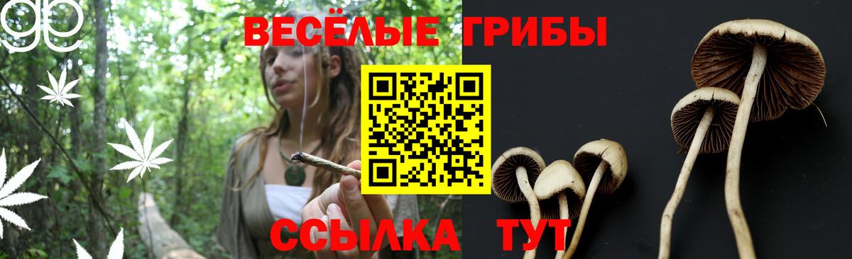 Галлюциногенные грибы Psilocybine cubensis  Вход с VPN  Псилоцибиновые грибы GOLDEN TEACHER  Гусь-Хрустальный 